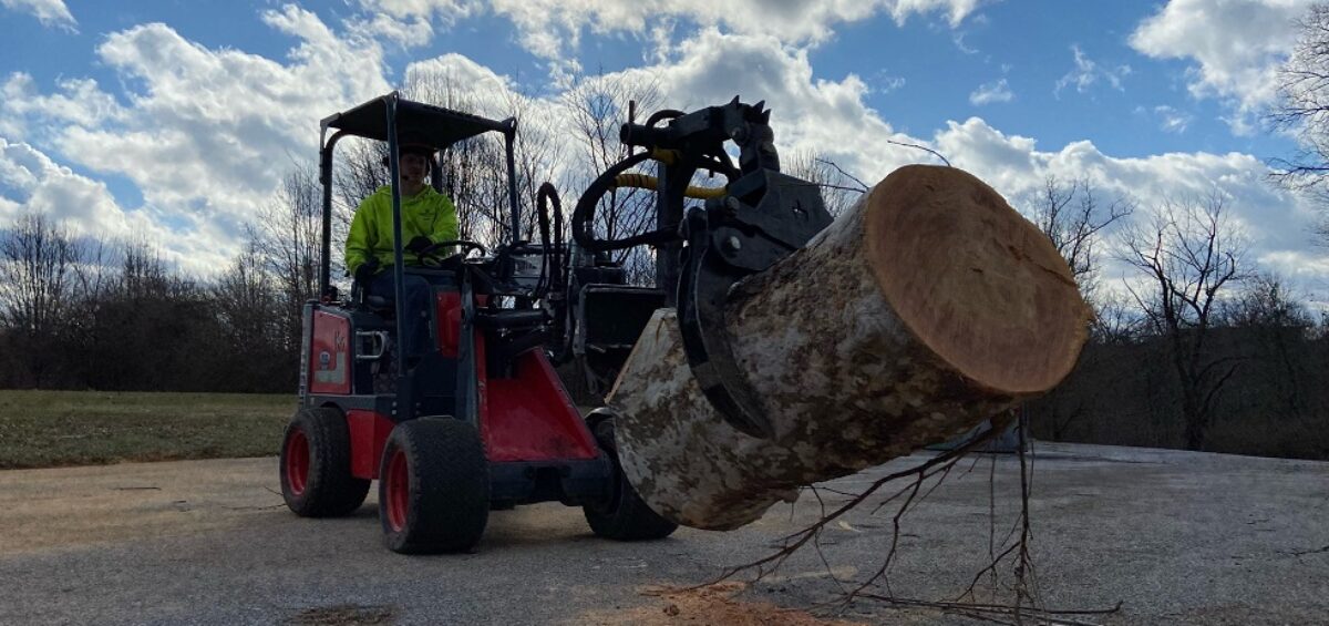 Mini articulating loaders with Gerrein Green tree care