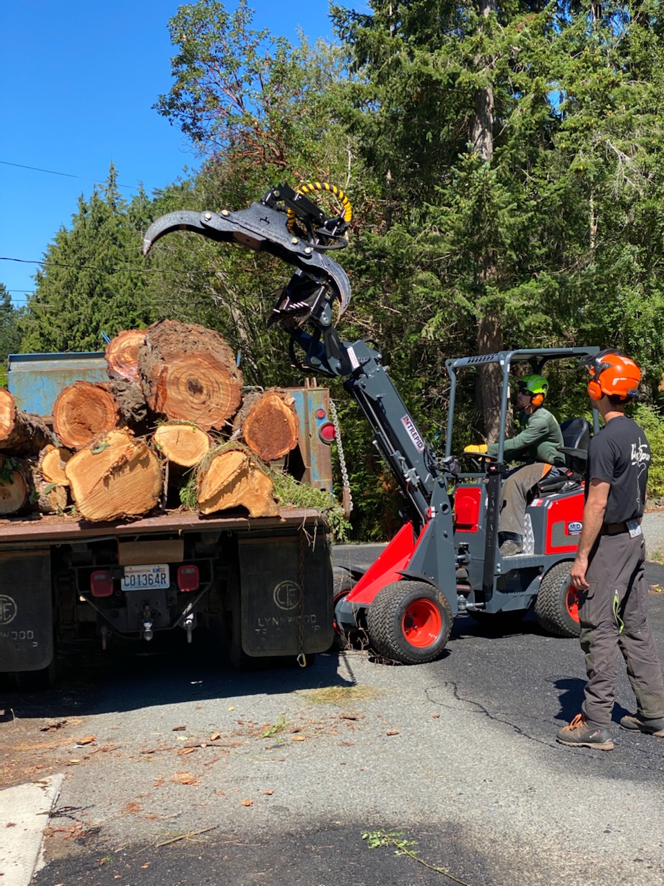 Articulating loader used to load logs by arborists