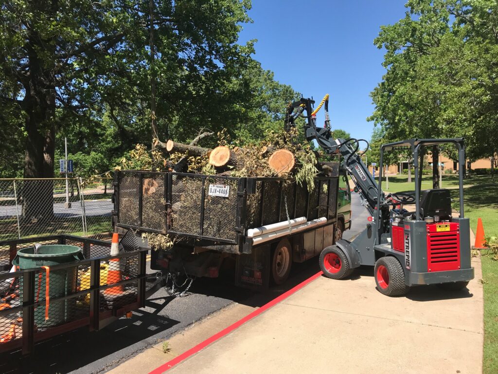 Mini loader loading logs into trailer with branch manager grapple