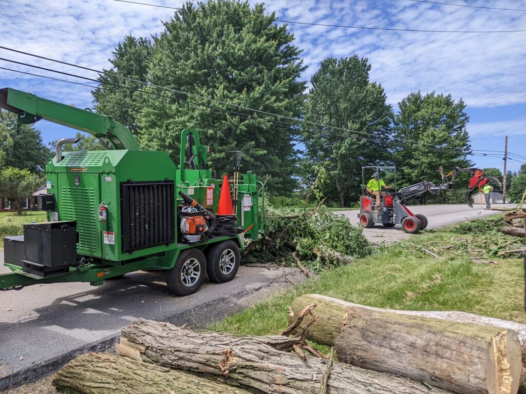 small articulated loaders with TNA grapples feeding bandit chipper